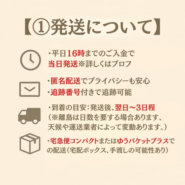 V3 エキサイティング ファンデーション 詰替 スピケア　4個セット