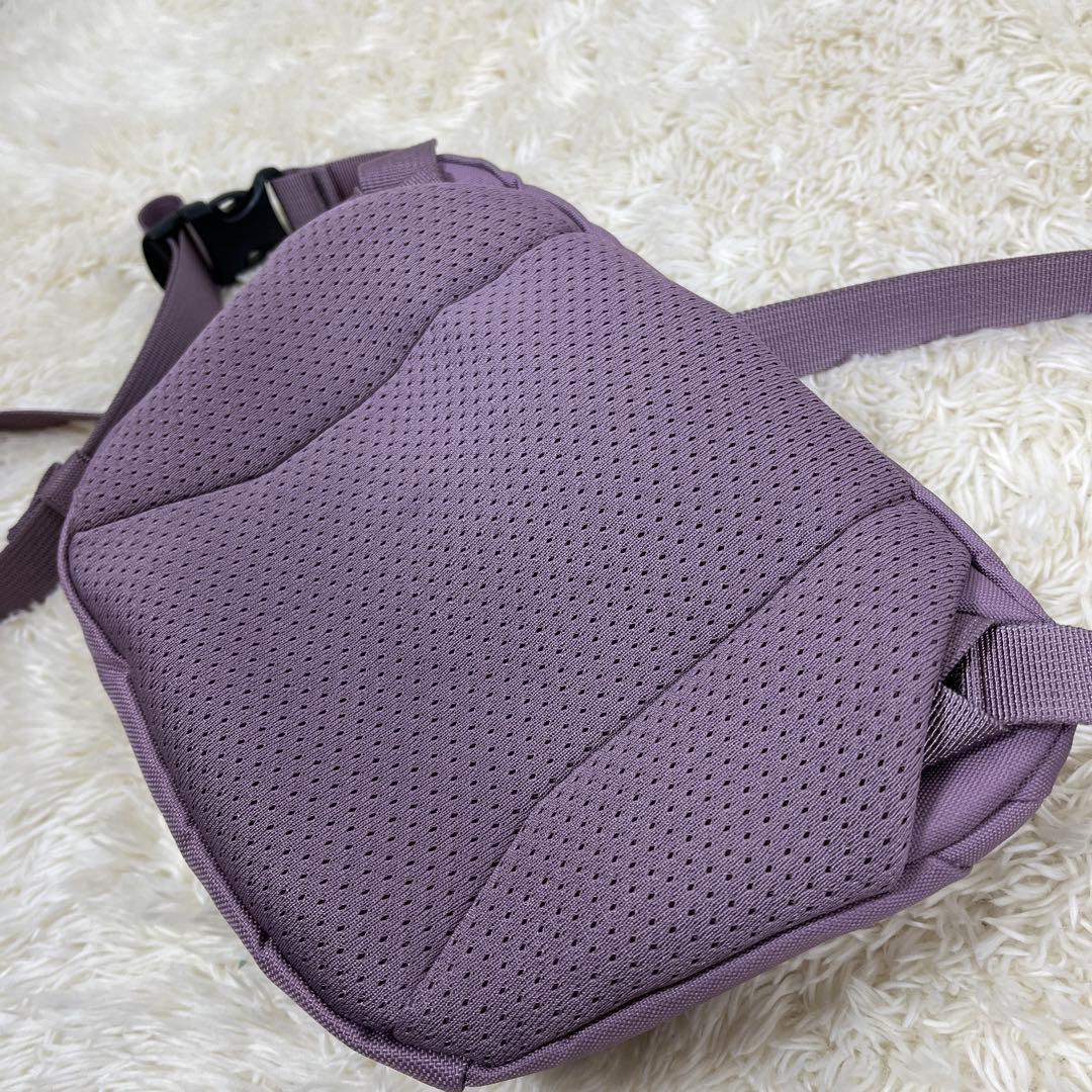 【限定カラー】アークテリクス マンティス1 アルペングロー ウエストパック 美品