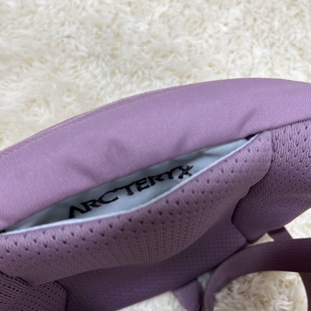 【限定カラー】アークテリクス マンティス1 アルペングロー ウエストパック 美品