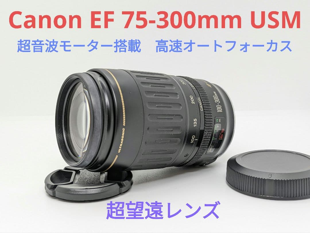 1月23日限定価格【超望遠レンズ】Canon EF 100-300mm USM