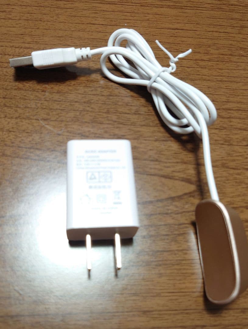 IKKOプロデュース美顔器　ラボンエクラ