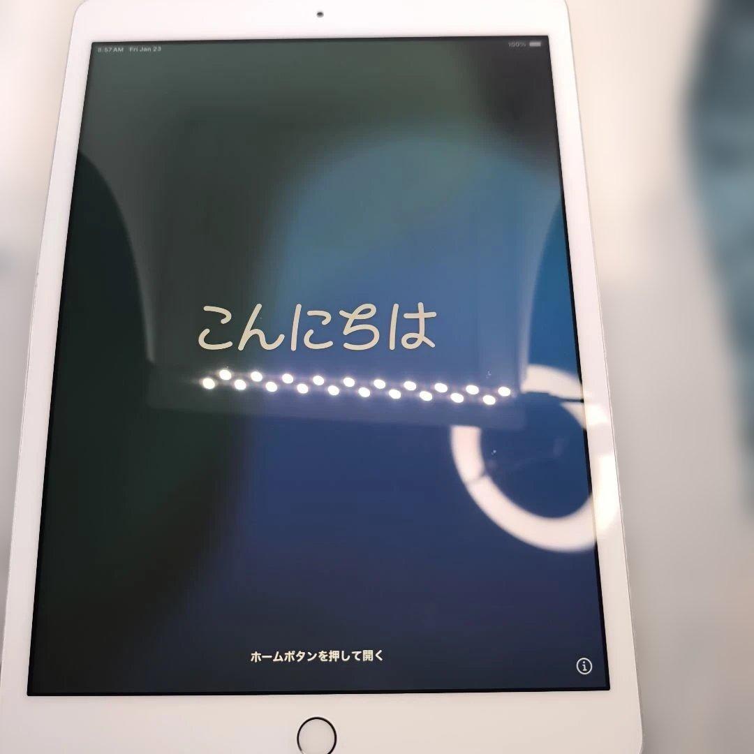柳*郎様 iPad 第8世代 32GB セルラーモデル 32GBシルバー85％