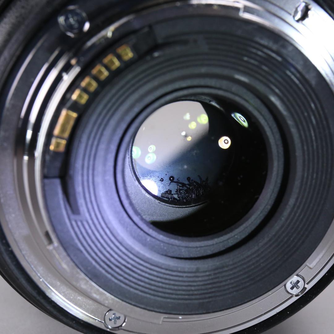 ☆動作確認済☆Canon EF 24-70mm F4 L IS USM ＃438