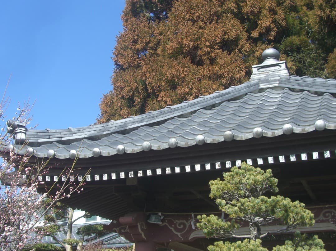 実写良⭕️【動作確認済】CASIO EXILIM ZOOM EX-Z1000