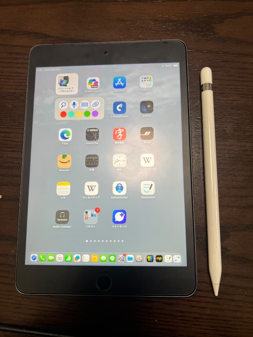apple ipadmini 5世代 256GB WIFI＋セルラー