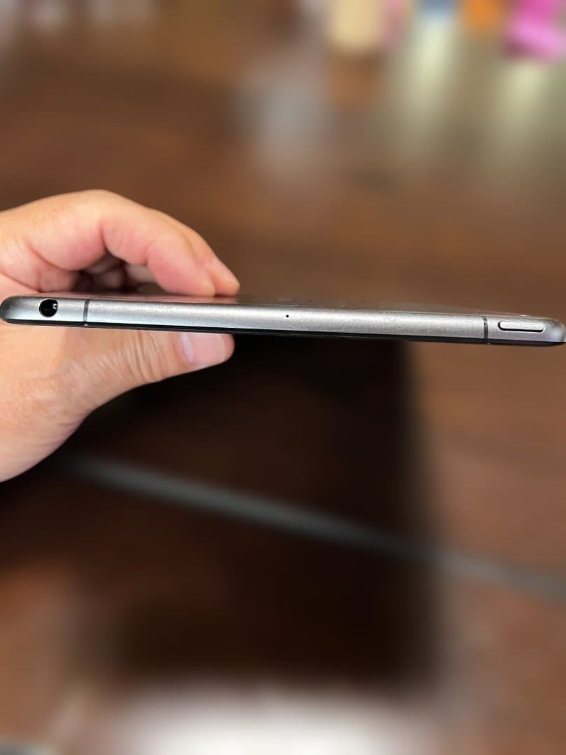 apple ipadmini 5世代 256GB WIFI＋セルラー