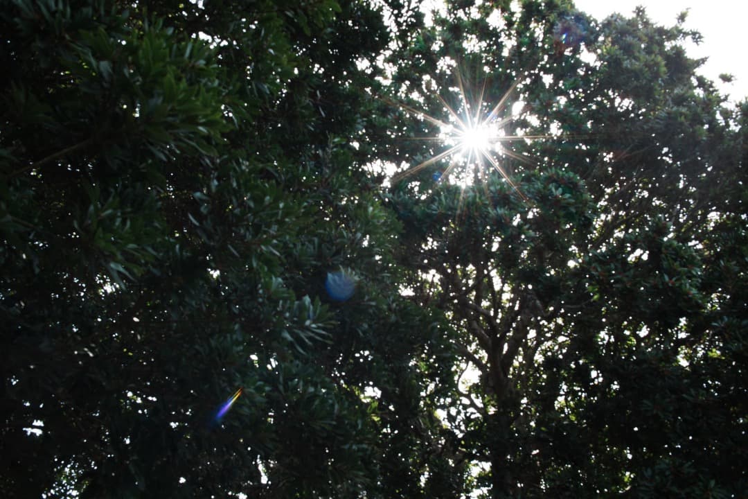 【極美品】動作◎ ニコン　Ai Nikkor 35mm F1.4 515