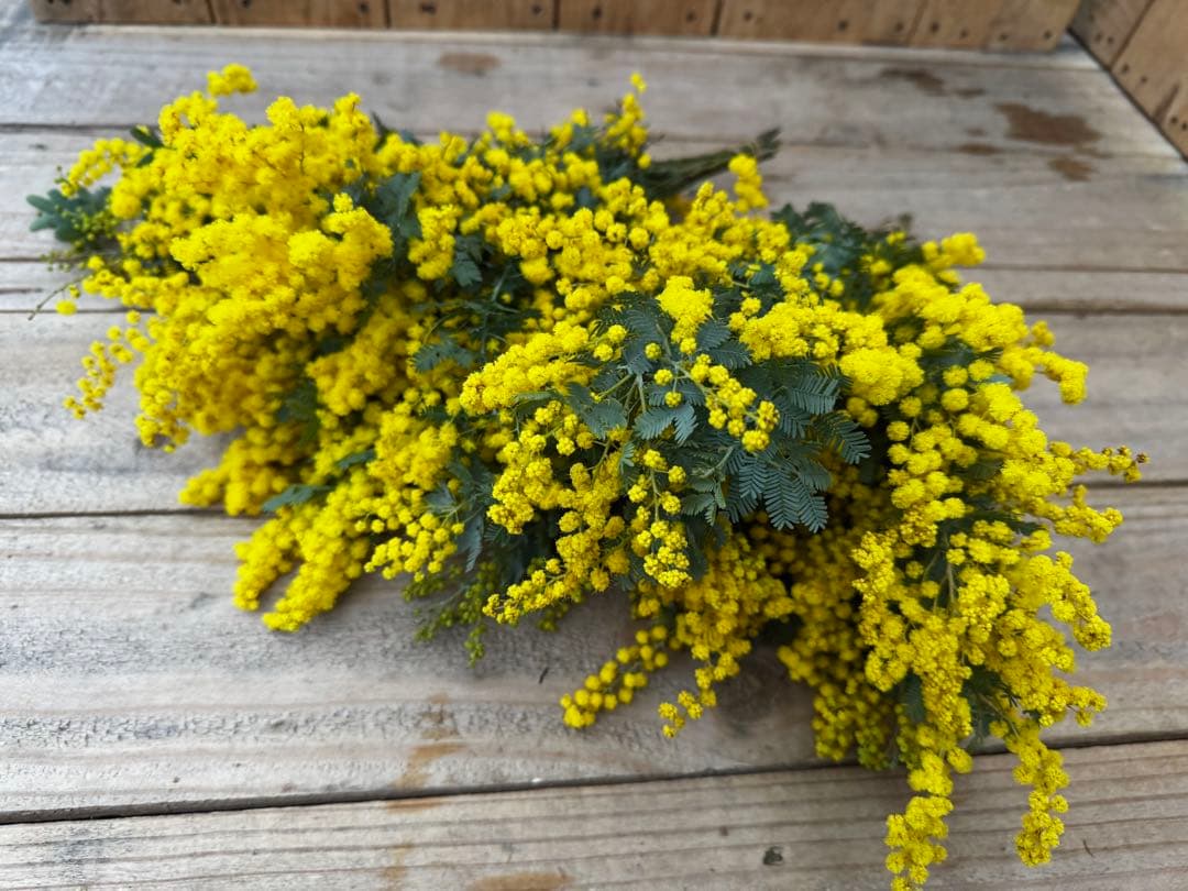 コスモスン様 リクエスト 4点 まとめ商品