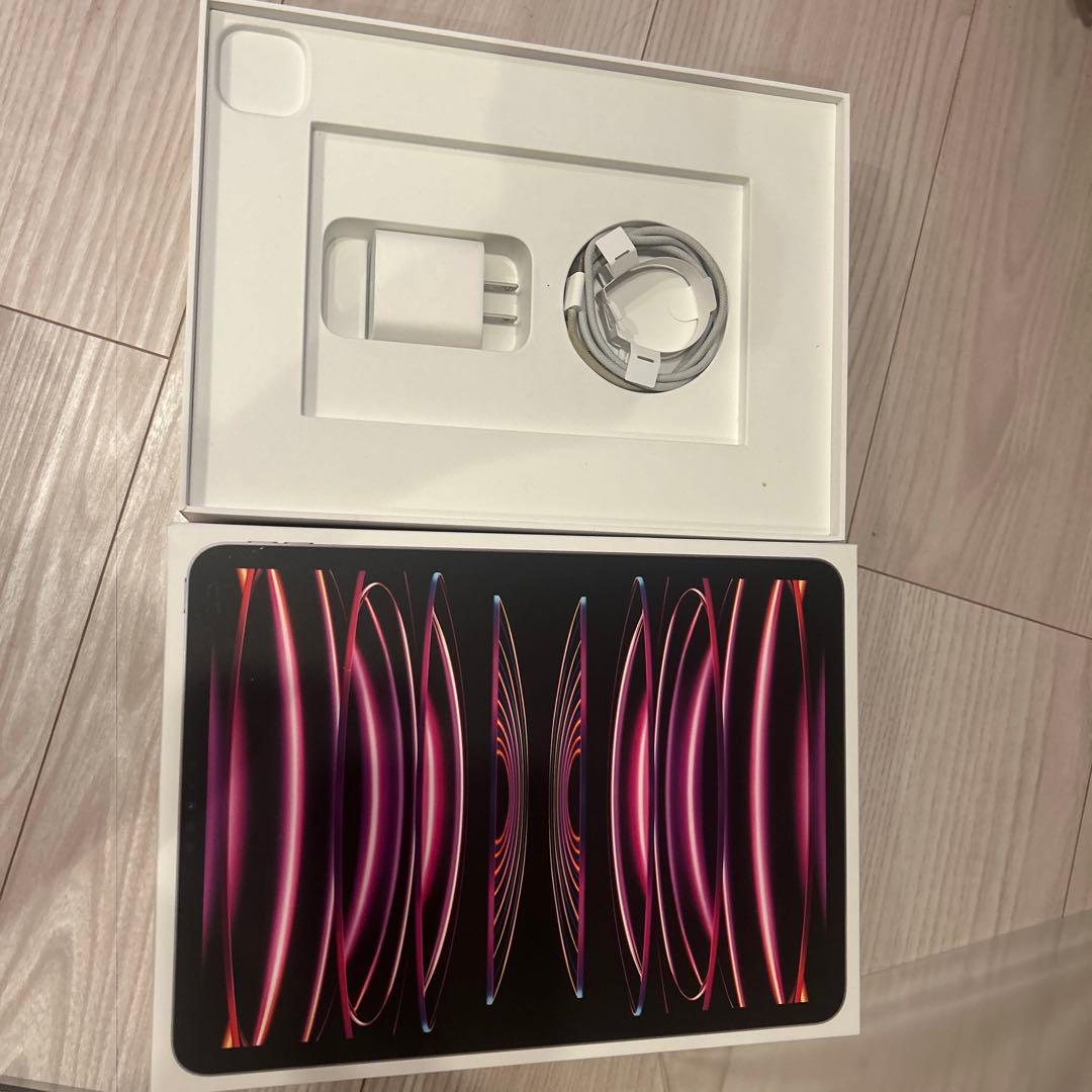 Apple 11インチiPad Pro (第4世代)Wi-Fi 本体