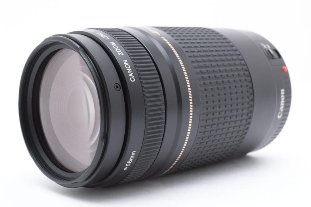 キヤノン Canon EF 75-300mm F4-5.6 II