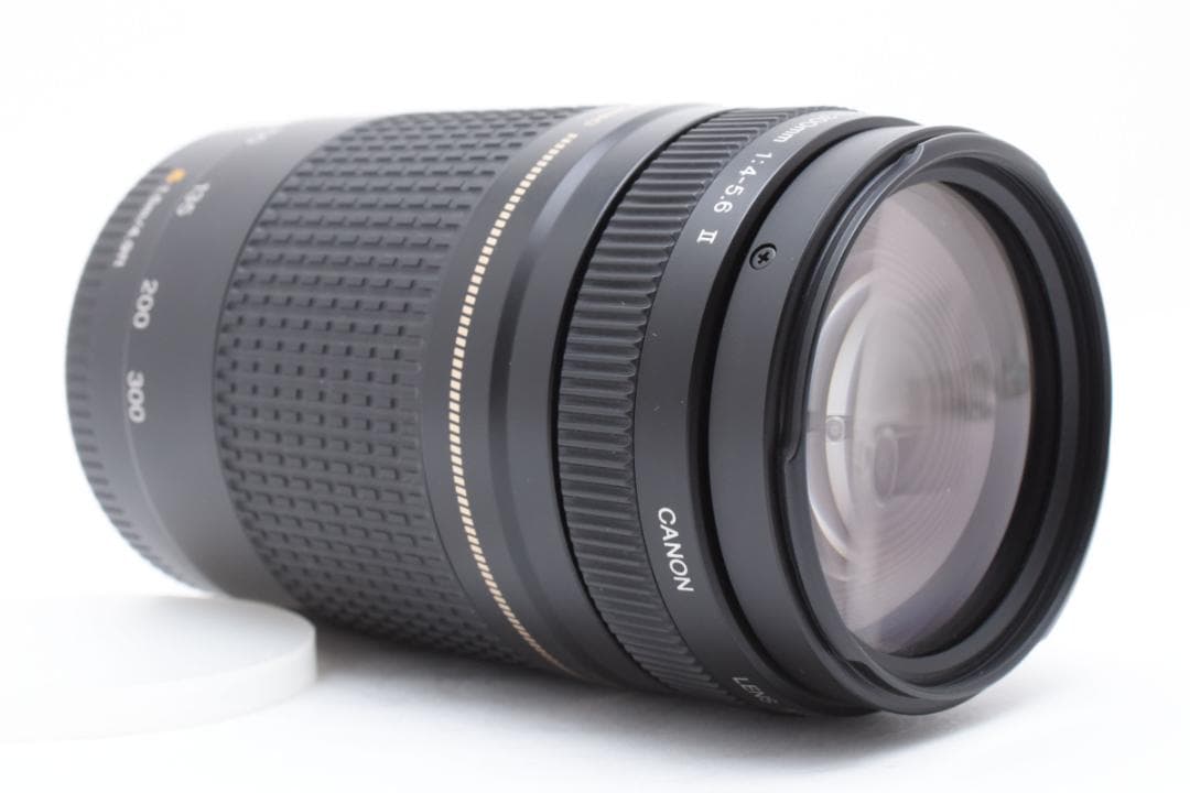 キヤノン Canon EF 75-300mm F4-5.6 II