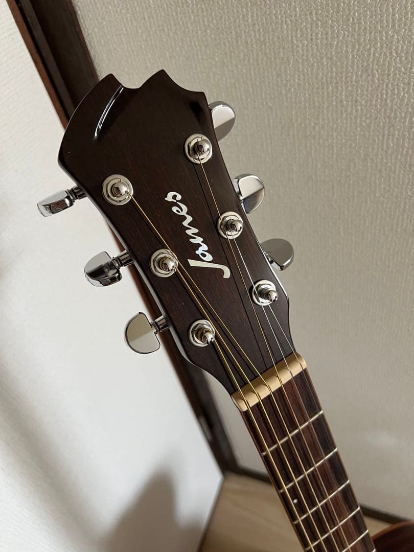 James オール単板 エレアコ　j-800a