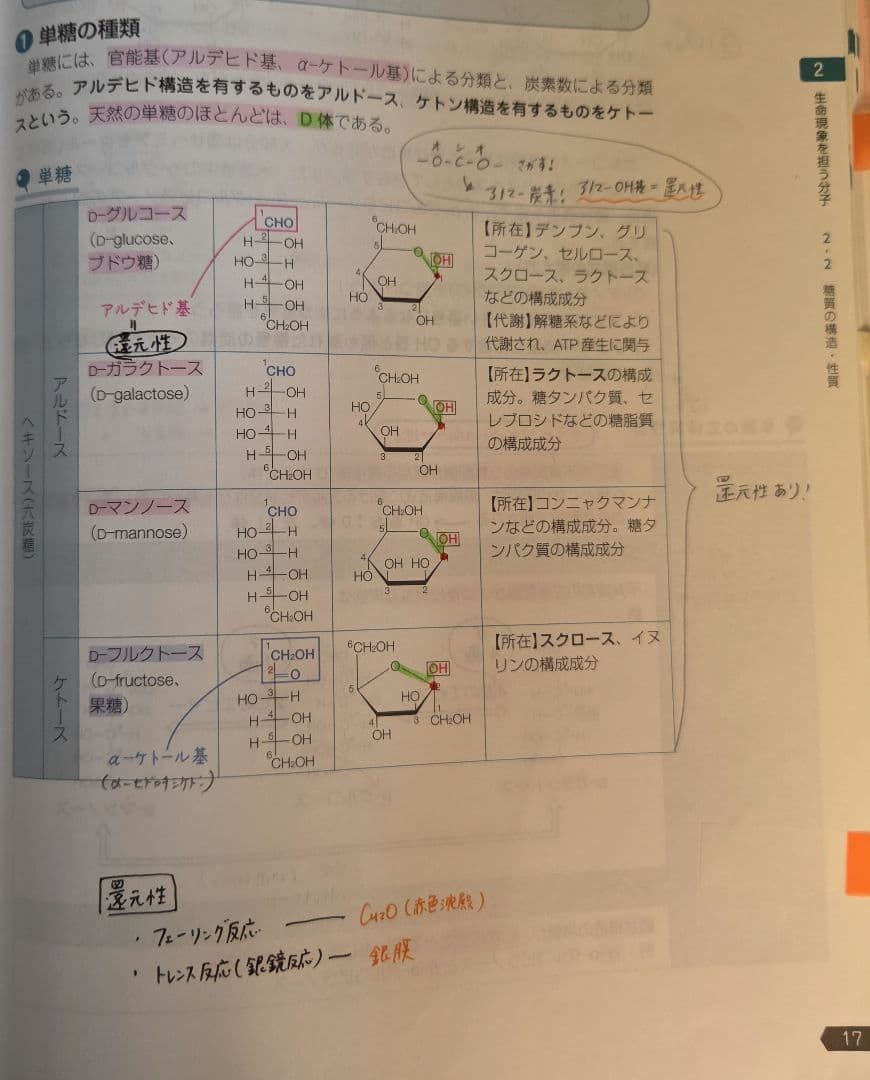 薬ゼミの要点集 9点セット