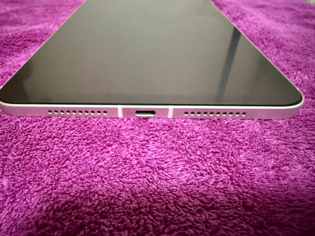 iPad mini 6世代Cellularモデル　64GB 本体のみ＋おまけ