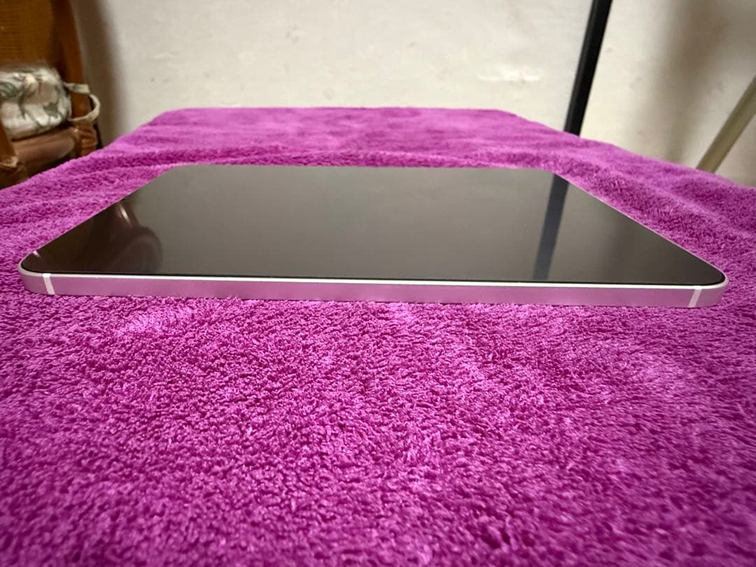 iPad mini 6世代Cellularモデル　64GB 本体のみ＋おまけ