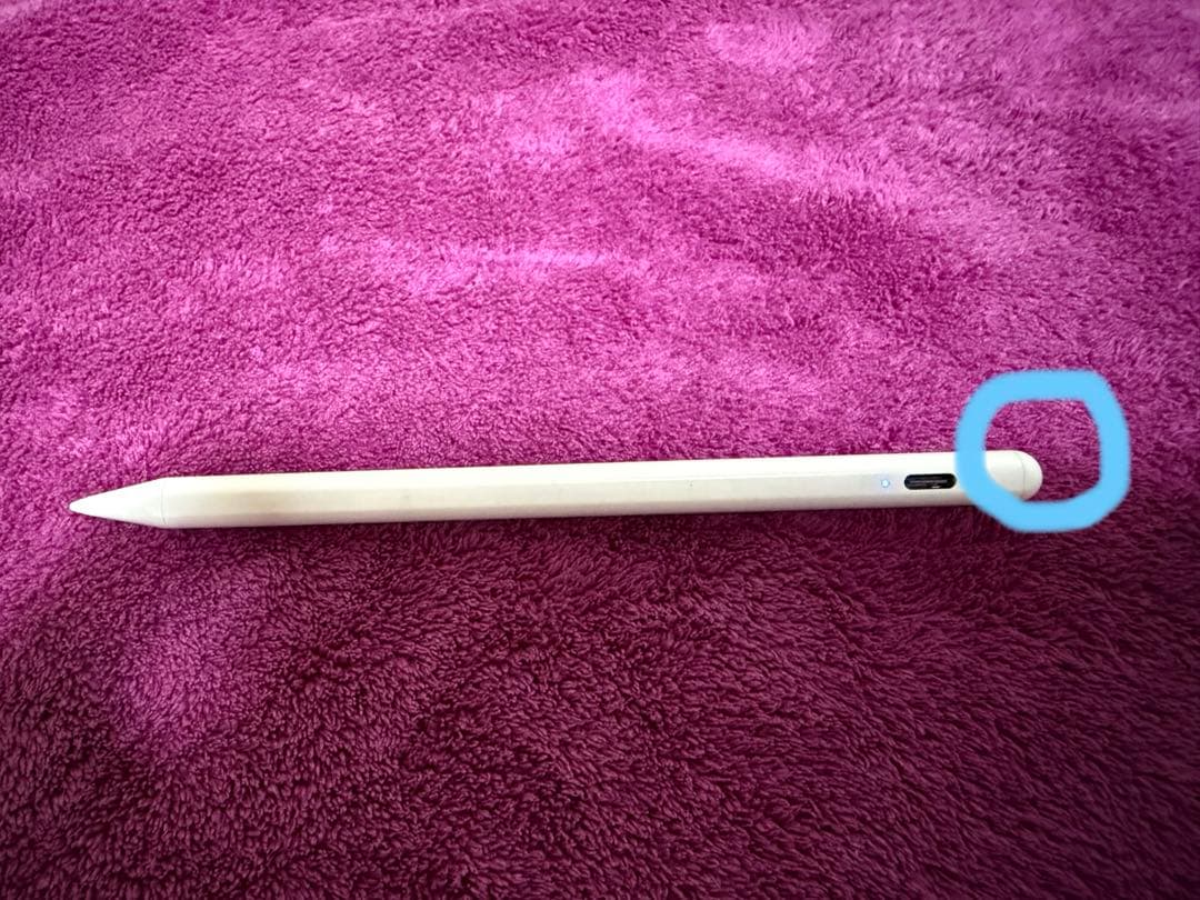 iPad mini 6世代Cellularモデル　64GB 本体のみ＋おまけ