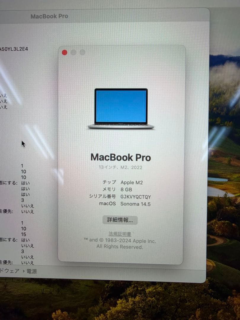 Apple MacBook Pro 13インチ、M2、2022、256GB