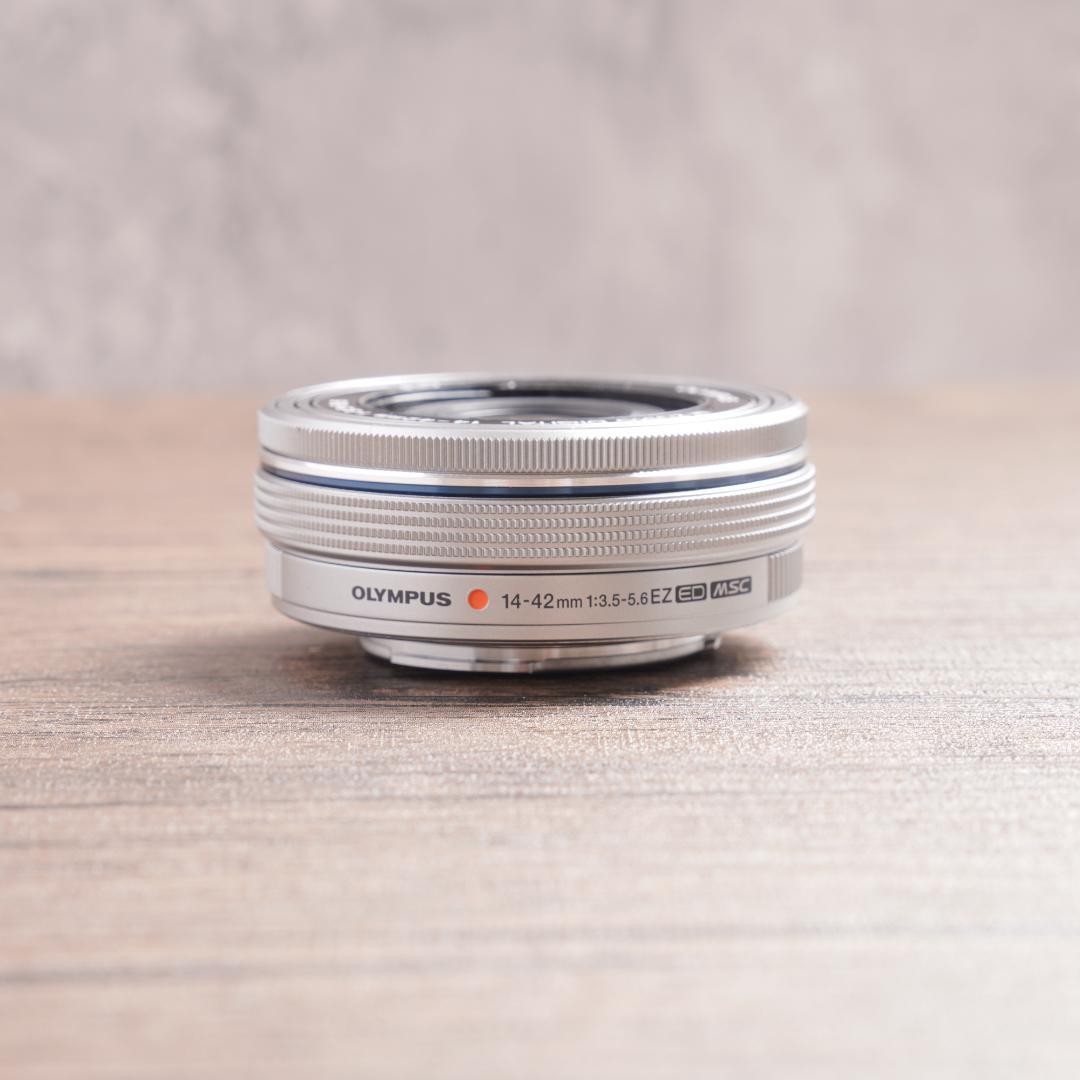 ショット数881回で新品級✨OLYMPUS PEN E-PL9　1065-1