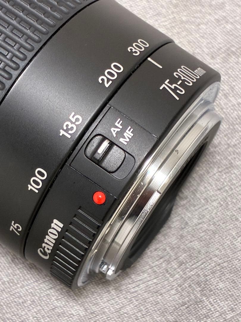⭐️純正フード付⭐️ Canon EF 75-300mm F4-5.6 III 望遠