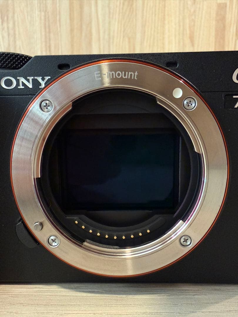 SONY α7C II 撮影枚数140枚 おまけ付