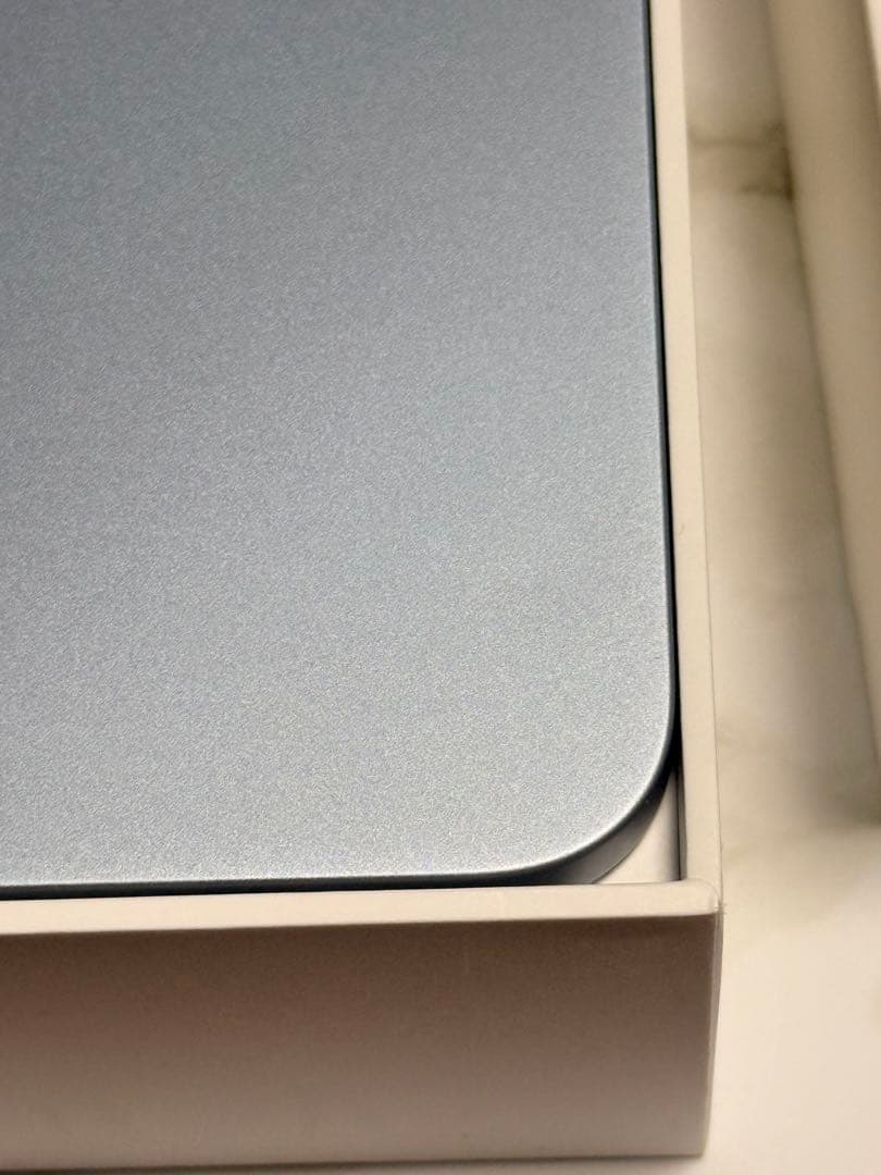 Apple iPad スカイブルー 本体のみ