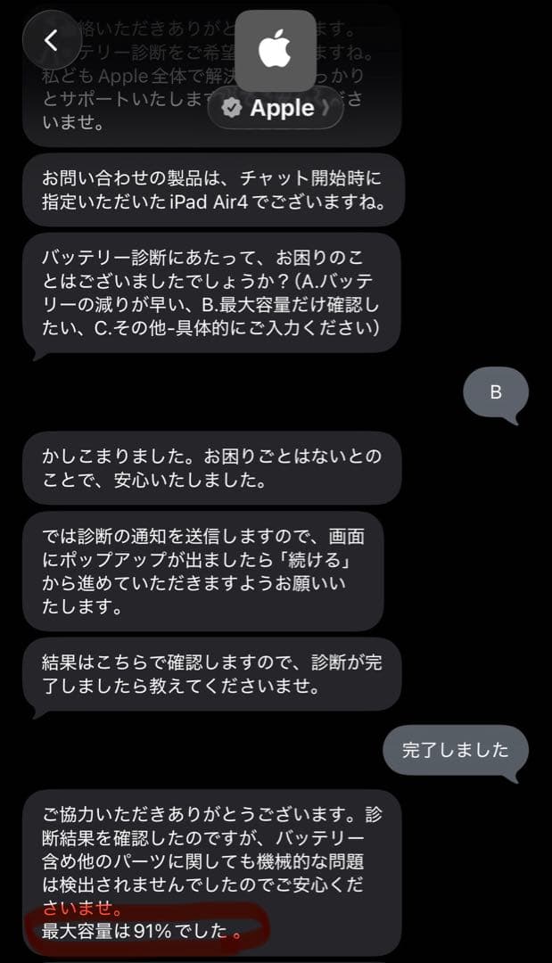 Apple iPad スカイブルー 本体のみ