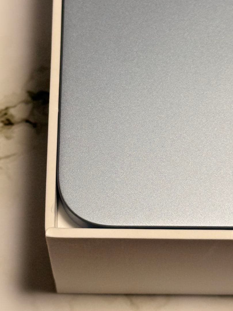 Apple iPad スカイブルー 本体のみ