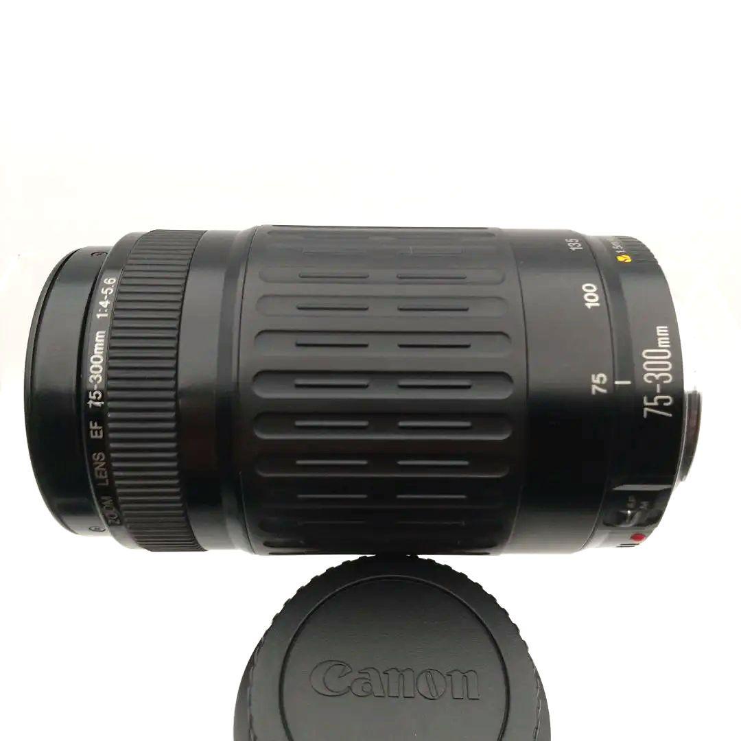 【撮影例付・美品】 CANON EF 75-300mm F4-5.6 USM
