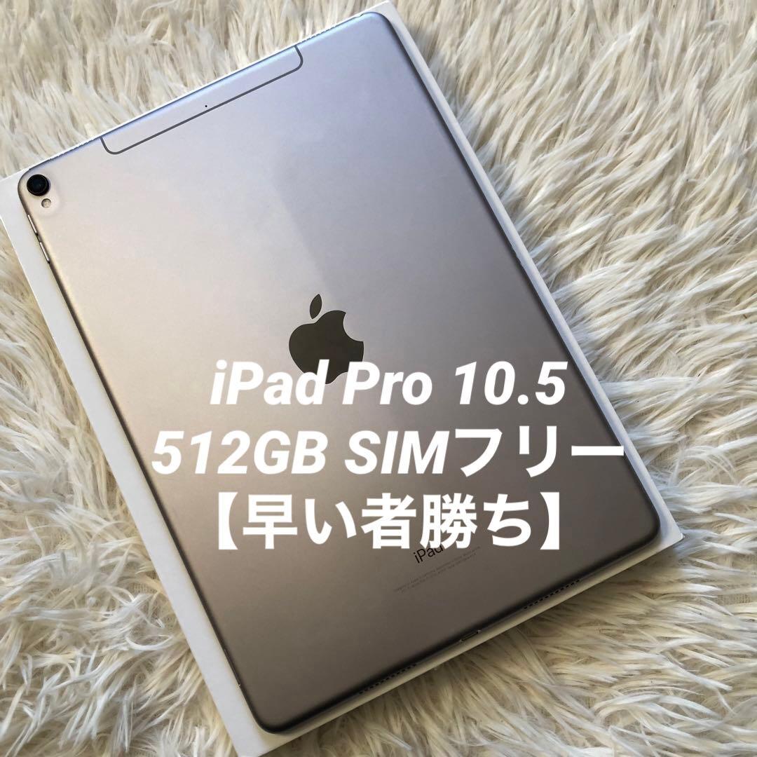 【完動品】iPad Pro 10.5 512GB SIMフリー【すぐ発送】