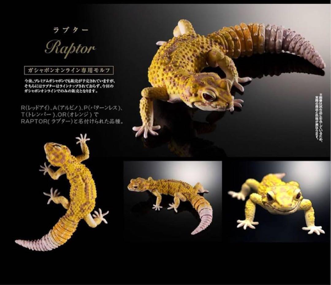 いきもの大図鑑 ヒョウモントカゲモドキ コンプ