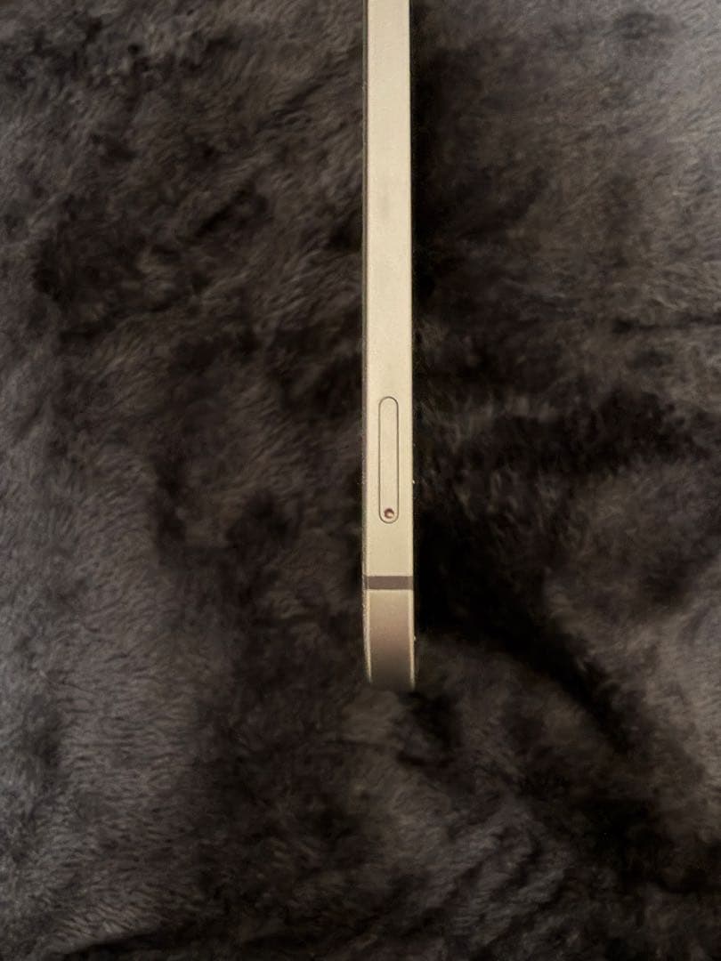 iPad pro 11 第3世代　512GB Apple pencil付