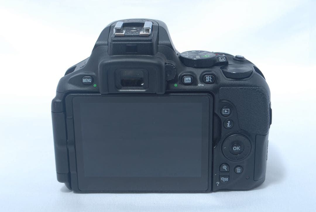 美品✨Nikon D5600 手ブレ補正付AF-Pレンズセット スマホ転送対応