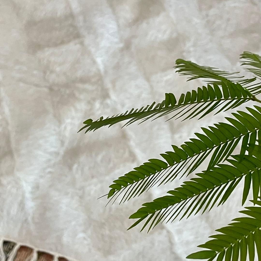 ラスト白　新品wool100％ホワイト バッターニエ　トルコヴィンテージラグ