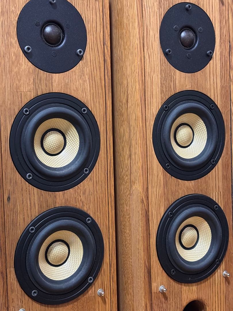 PIONEER S-PM300 ピュアモルトスピーカー