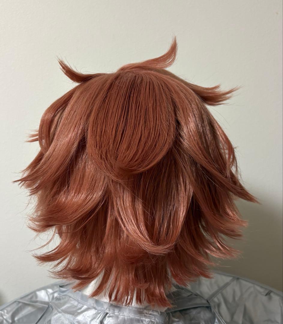 エース・トラッポラ コスプレ ウィッグ