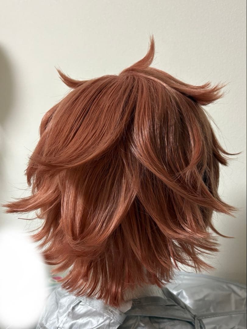 エース・トラッポラ コスプレ ウィッグ