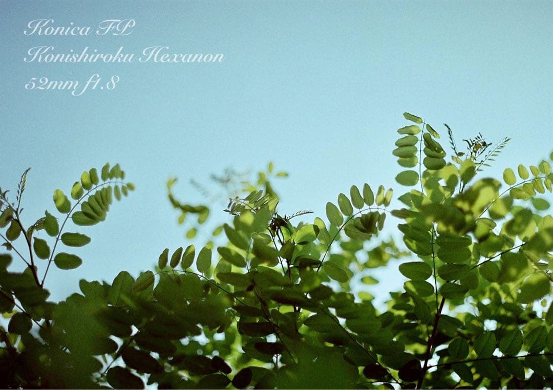 ★konica fp+hexanonレンズ★希少！超美品＊完動品★保証付