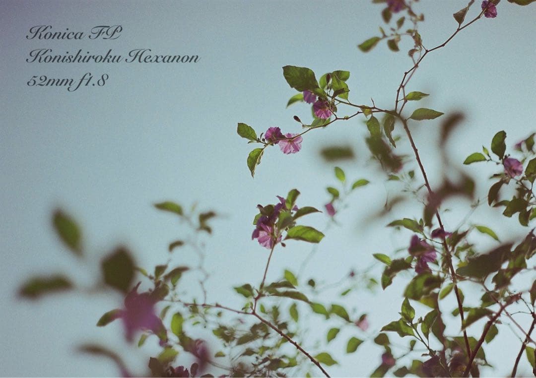 ★konica fp+hexanonレンズ★希少！超美品＊完動品★保証付