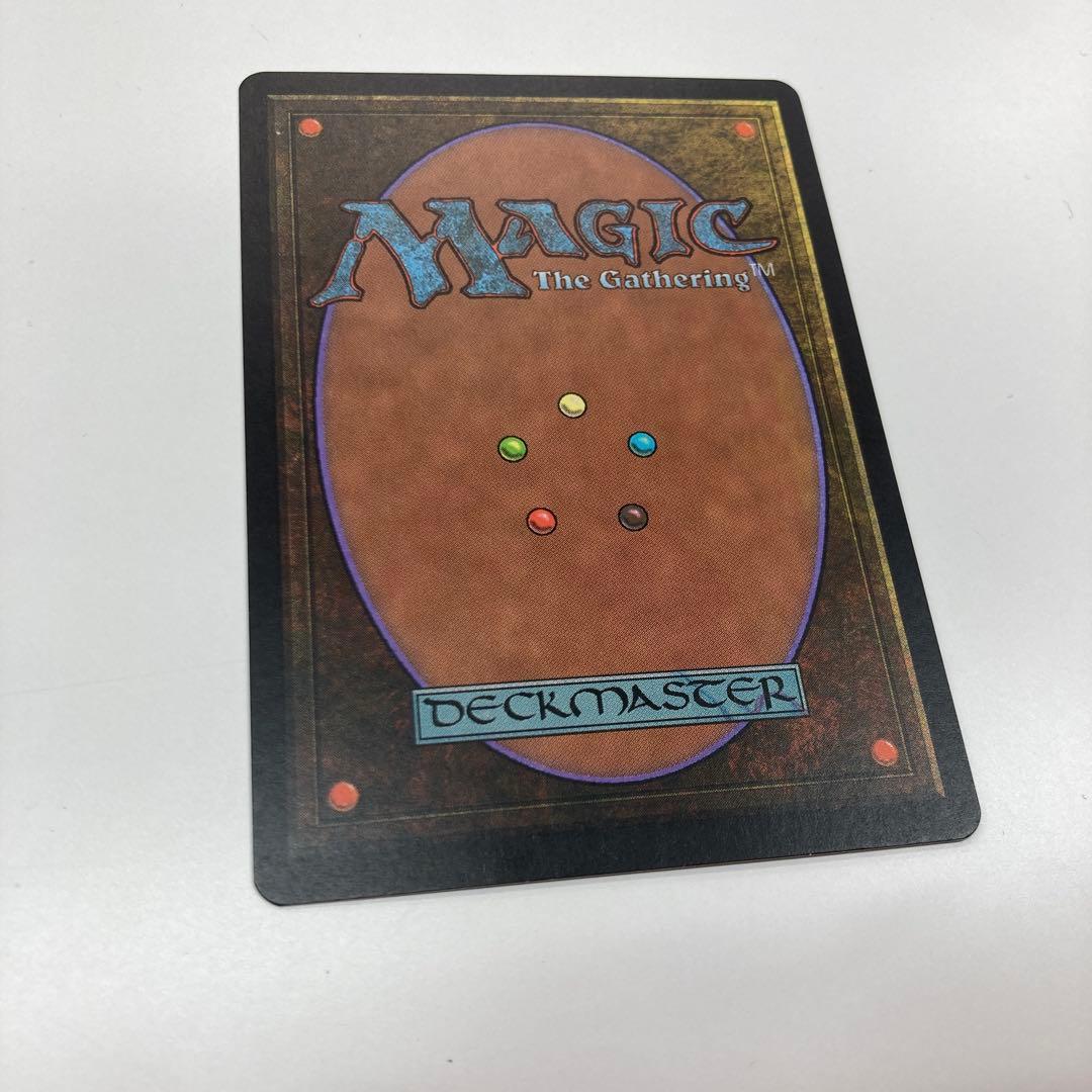 Mtg 適者生存 日本語