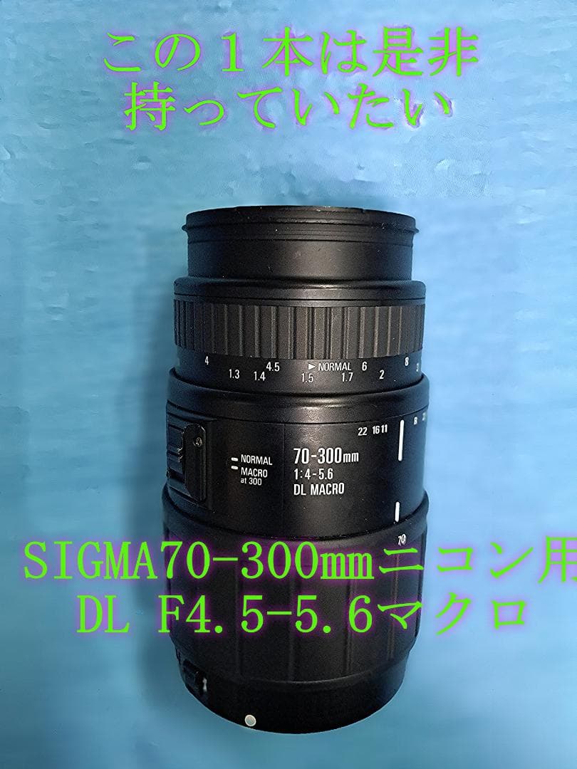 本日特売　シグマ70-300mm　DL F4-5.6 マクロ 　キヤノン用