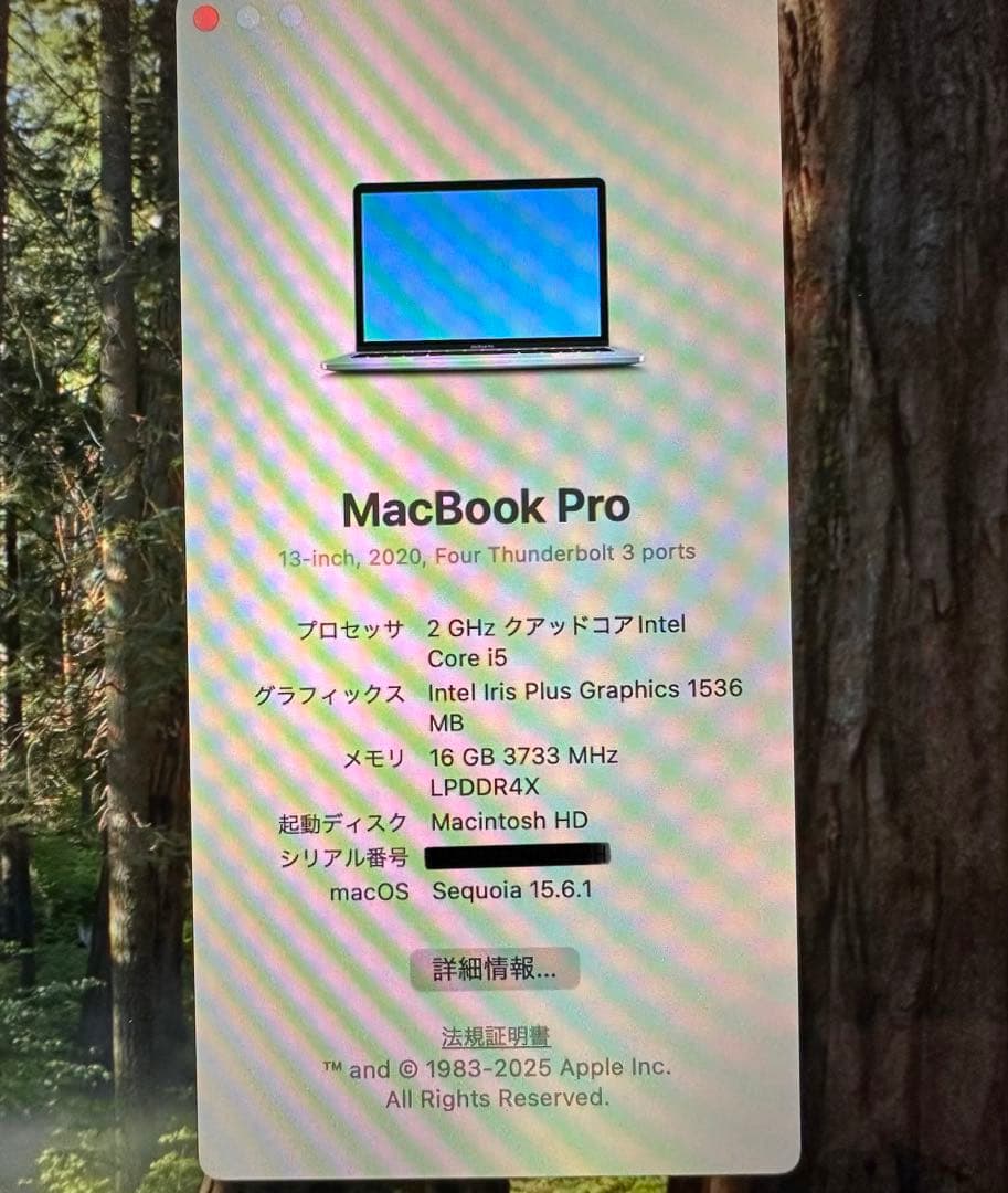 Zyn　Apple MacBook Pro 2020 13インチ