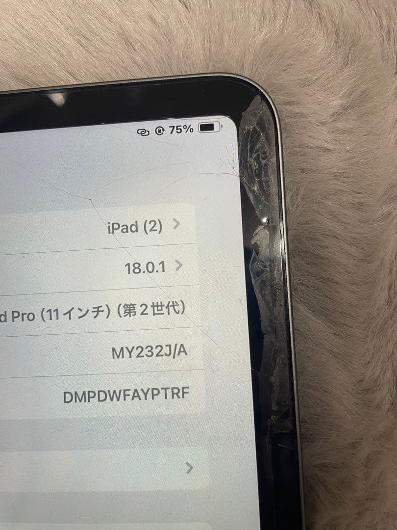 今週まで Apple iPad Pro 11インチ 第二世代　128GB