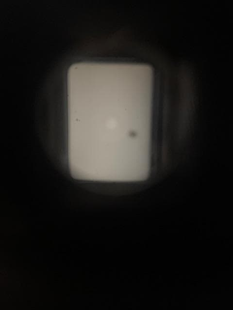 【希少＆美品】OLYMPUS オリンパス PEN FV シルバー ボディ 完動品