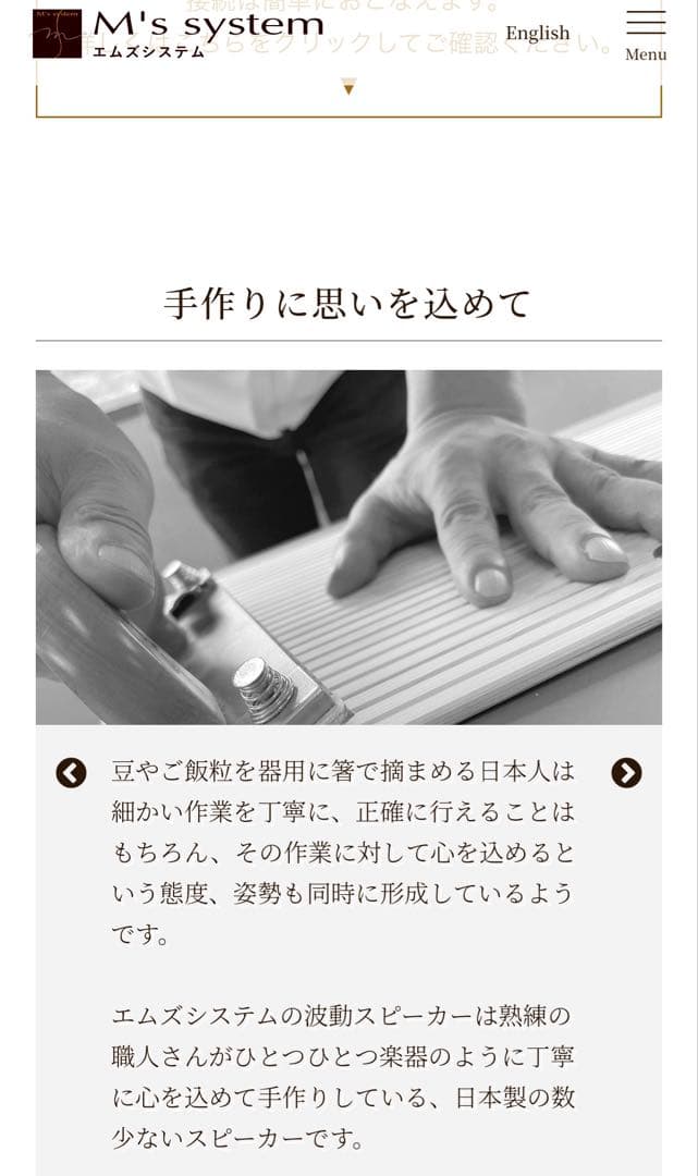 限定お値下げ❣️アンプ内蔵型スピーカー ／ エムズシステム 波動スピーカー ／新品