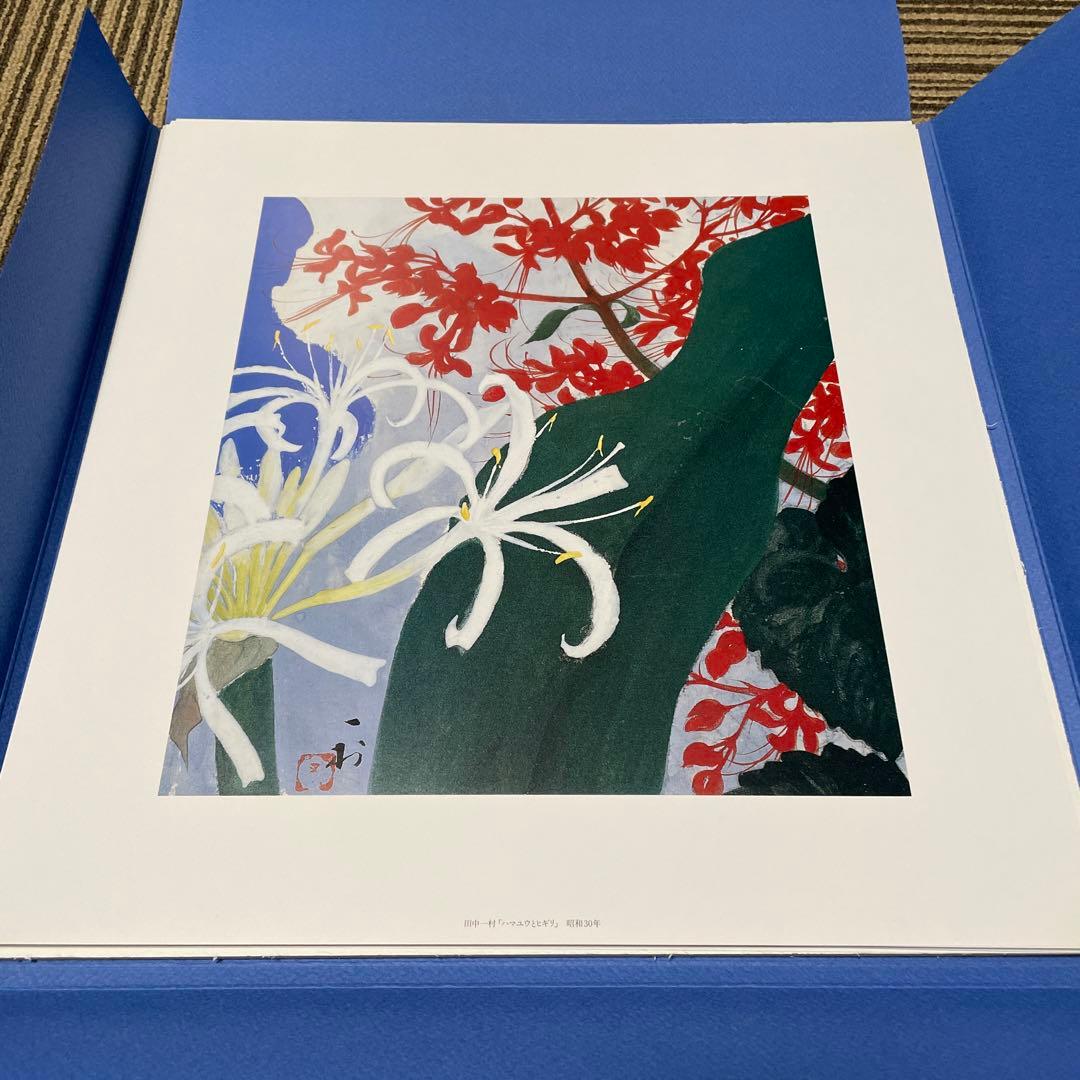 田中一村　色紙傑作選　 黒潮の画譜12景　(額装版)