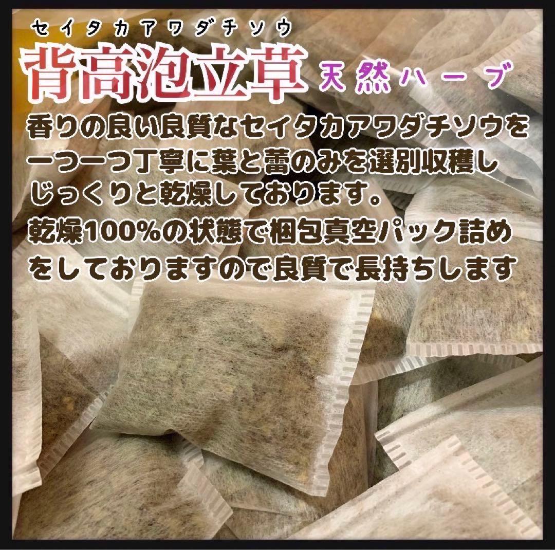 【天然ハーブ】背高泡立草　セイタカアワダチソウ1kg 個包装80個前後