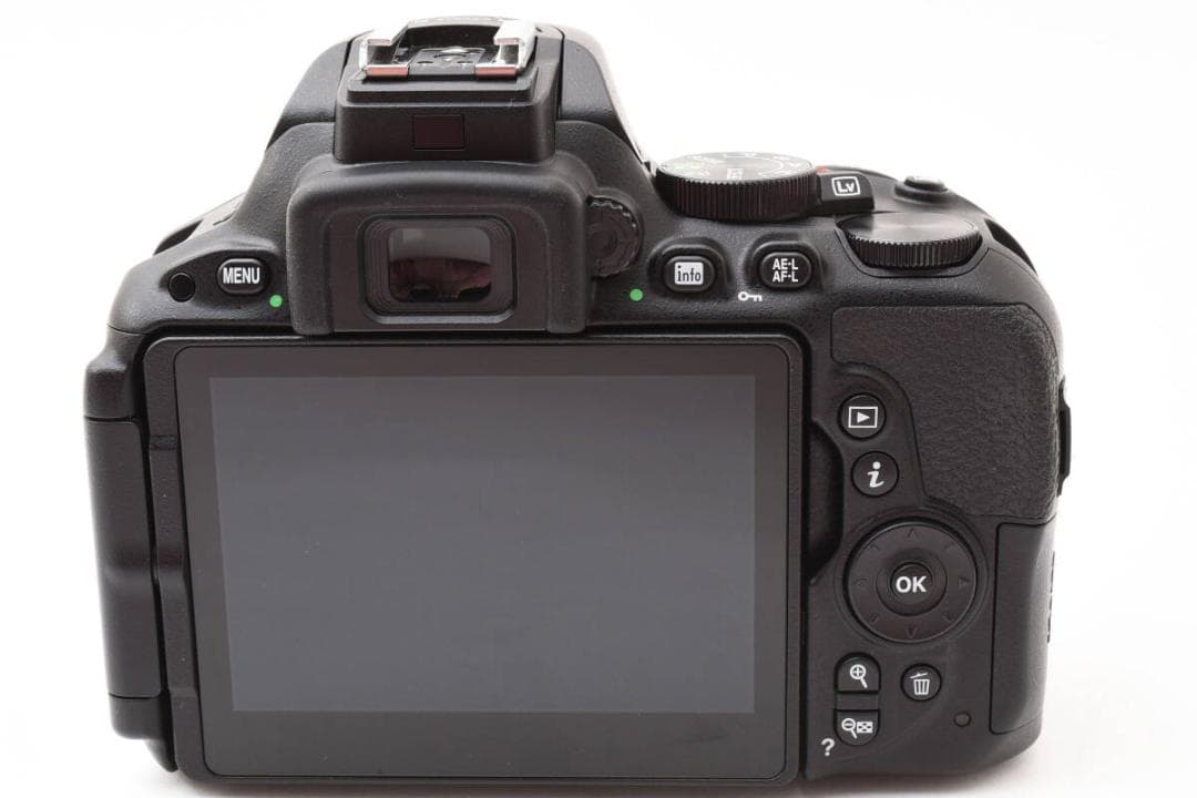 ★極上★ Nikon D5500 18-55mm VR ii 撮影 1537枚