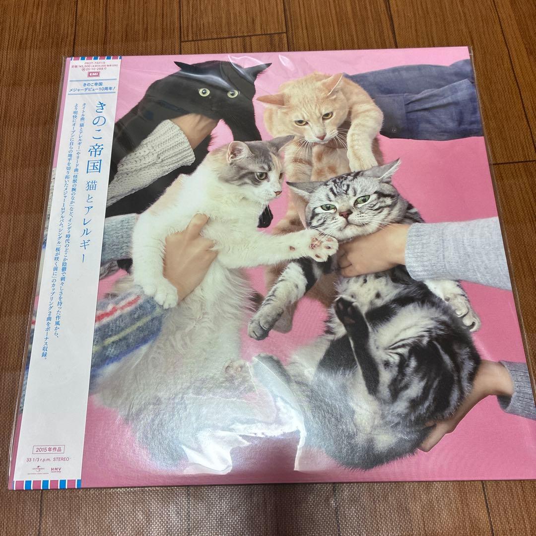 新品⭐︎きのこ帝国 猫とアレルギー アナログ LP レコード