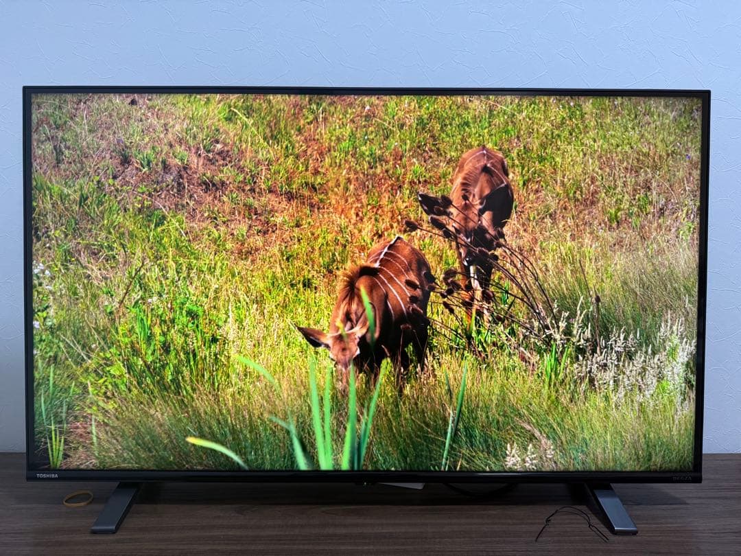 内田　東芝　REGZA 4Kテレビ　43型　43C350X