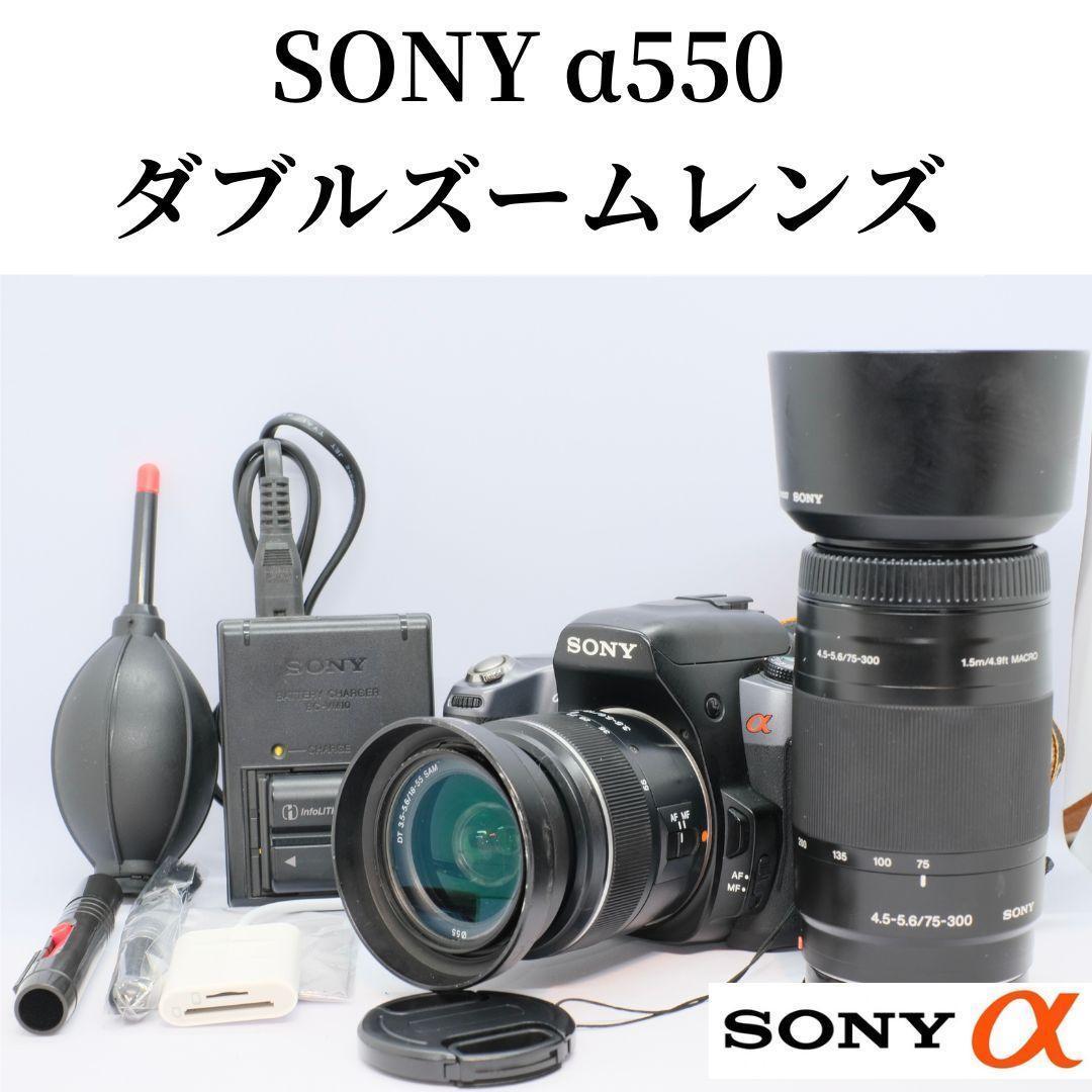 ❤️初心者オススメ　SONY α550 ダブルズームレンズキット　掃除セット付き